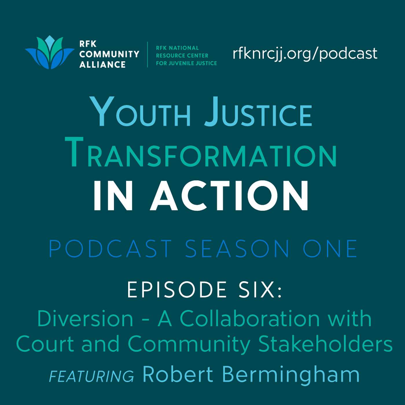 Youth Justice Transformation in Action