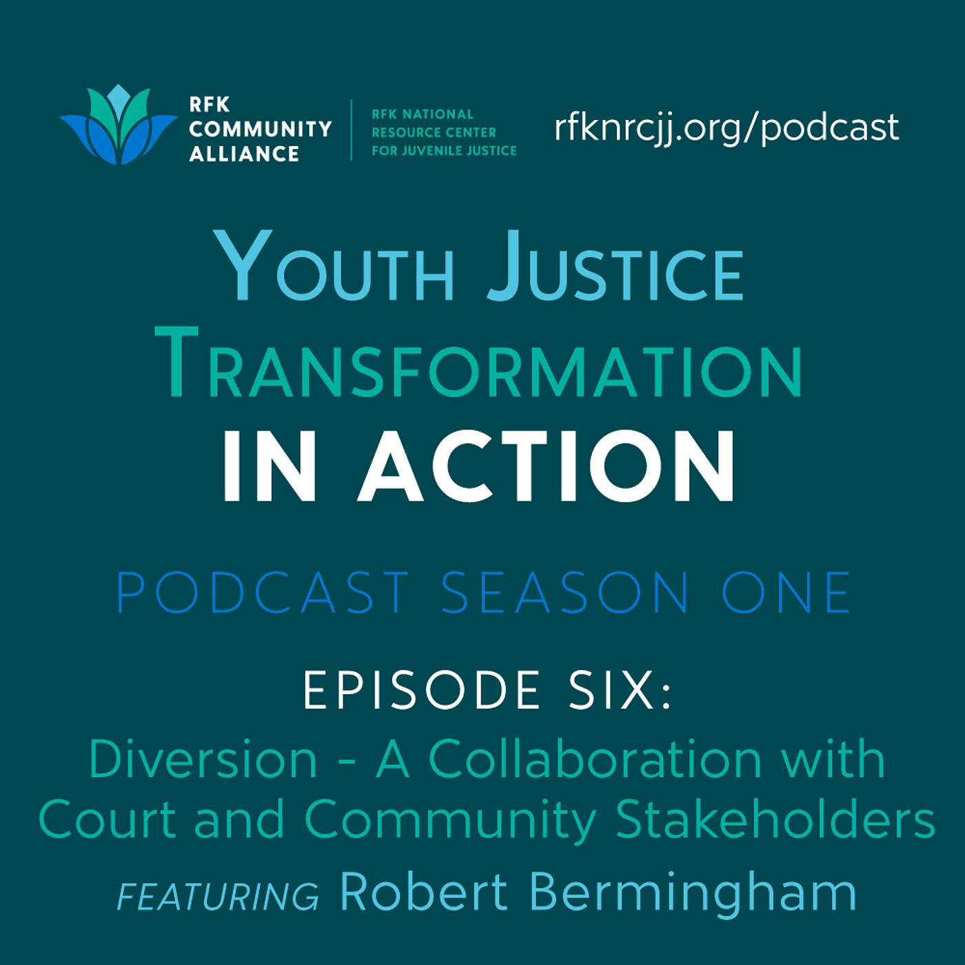 Diversion - A Collaboration with Court and Community Stakeholders (ft. Robert Bermingham)