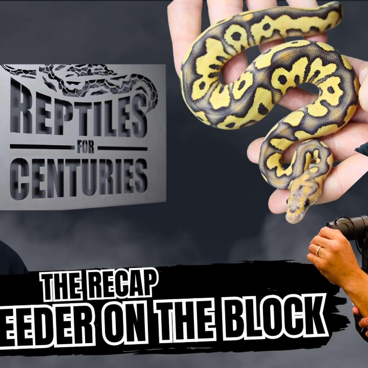 Truth About The Ball Python Market & Where Things Are REALLY Headed | The Recap NBB Live
