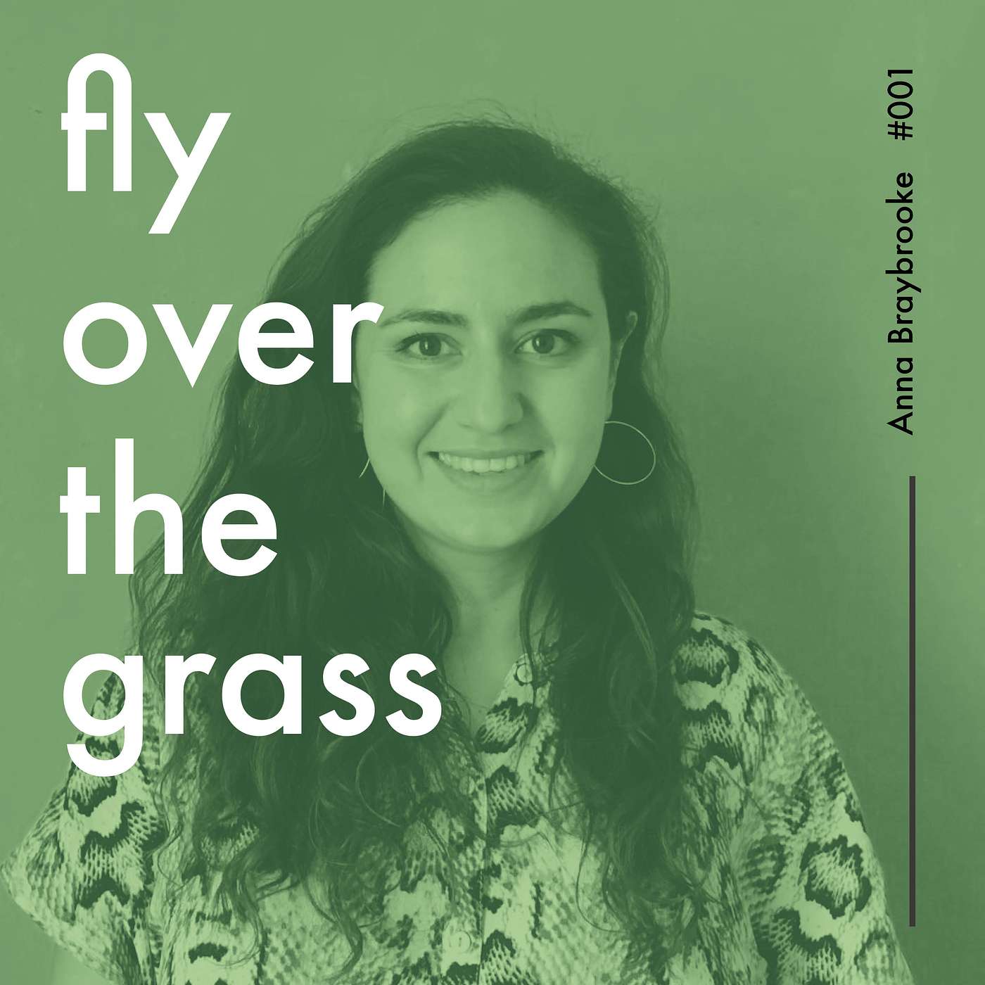 Fly Over The Grass