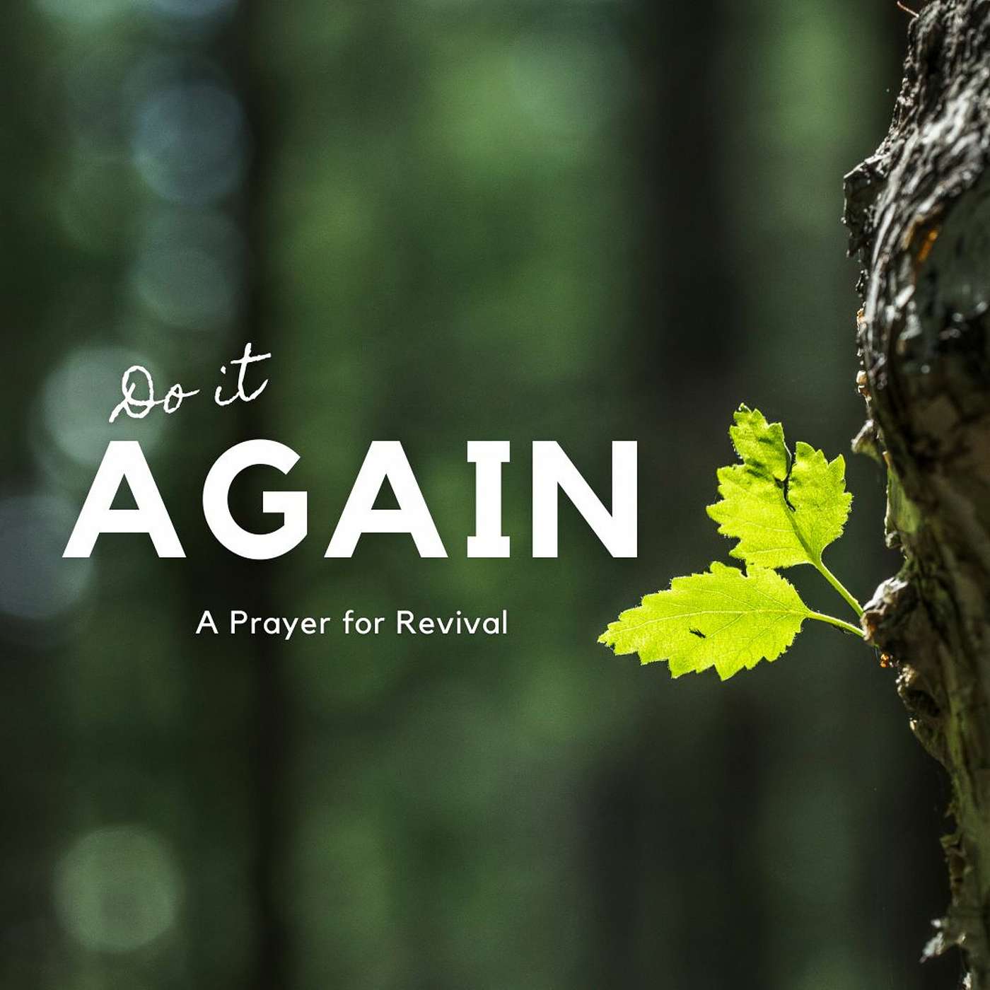 Saanich Baptist Podcast