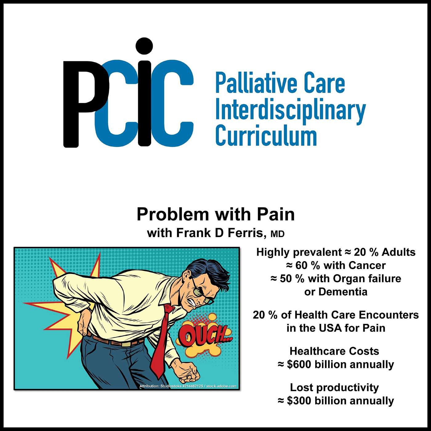 Palliative Care Interdisciplinary  Curriculum