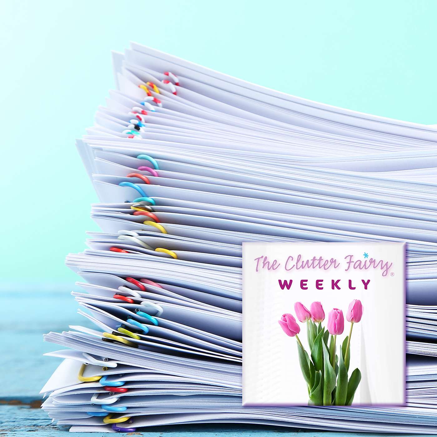 The Clutter Fairy Weekly