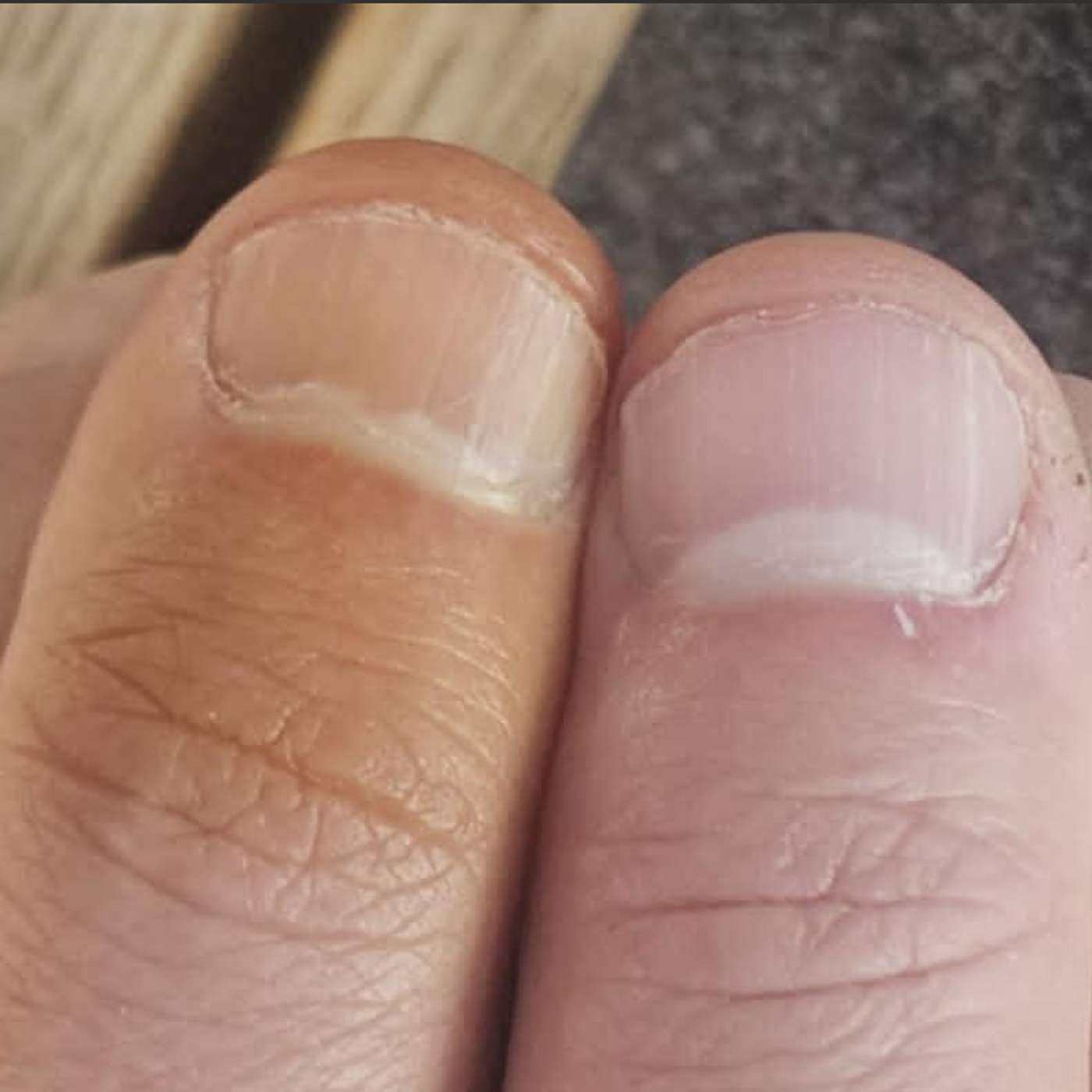 The Neal Larson Show