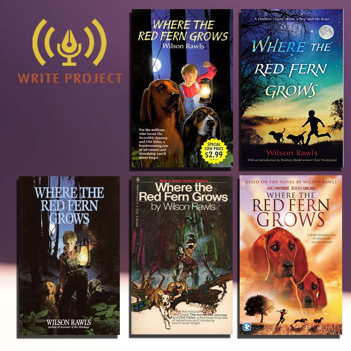 The Traumatizing Horror of Where the Red Fern Grows | The Write Project