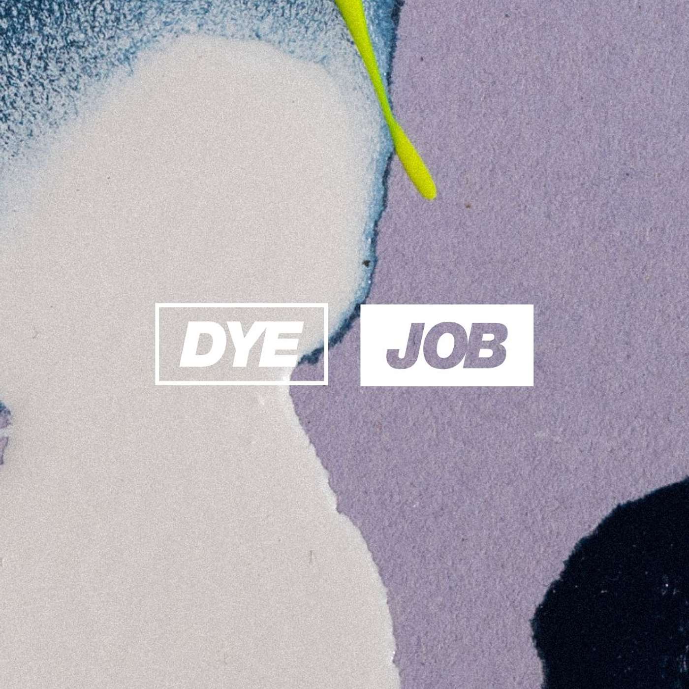 Dye Job - Interviews with the UK's leading hair experts