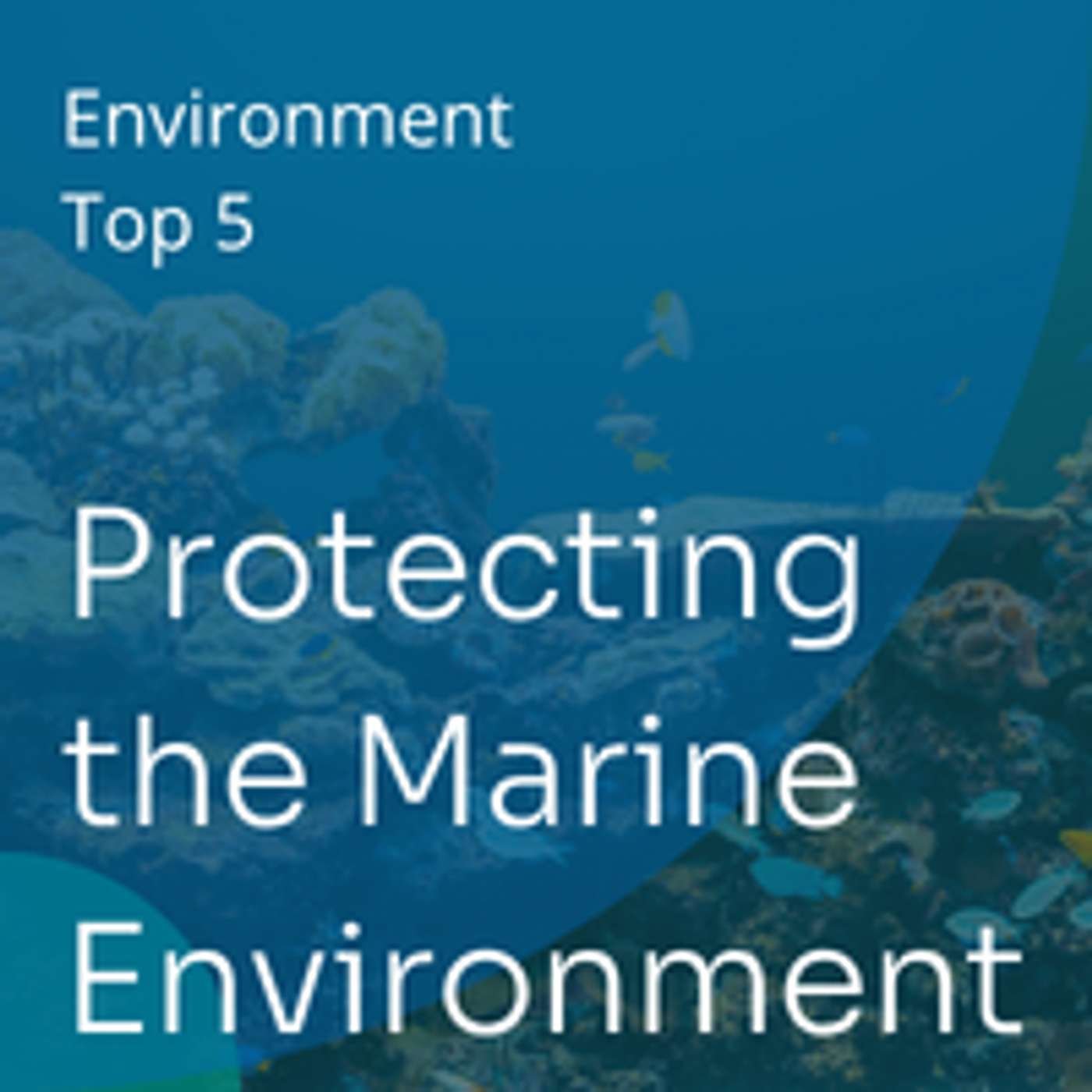 Protecting our Marine Environments | Top 5 Things to Consider