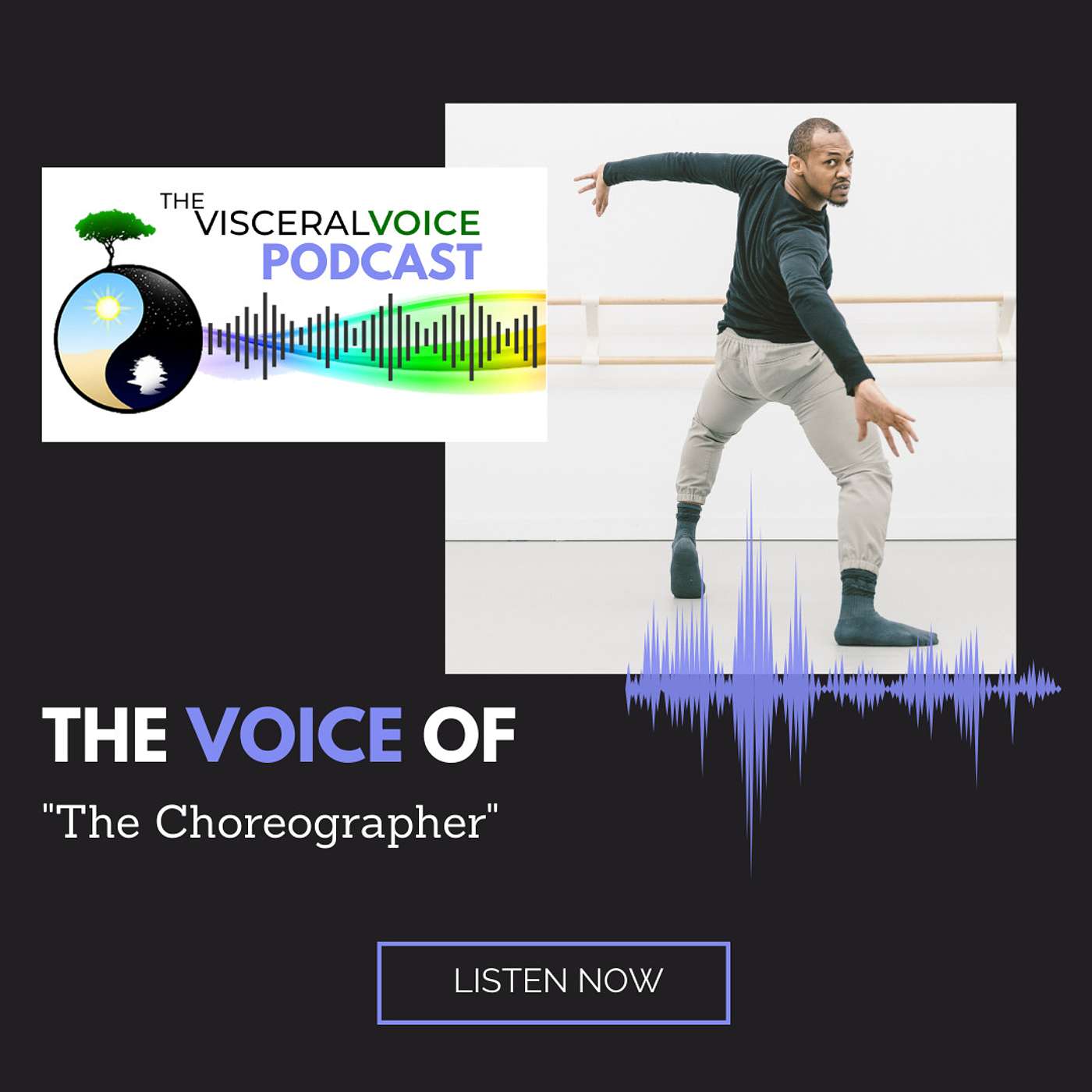 The Visceral Voice Podcast