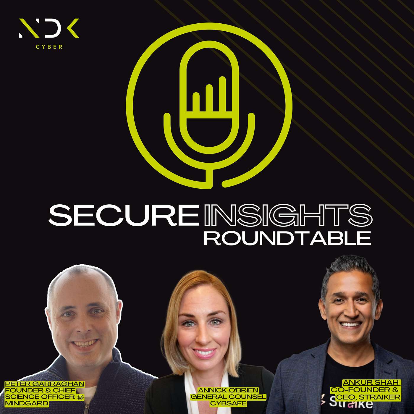 Secure Insights with NDK Cyber