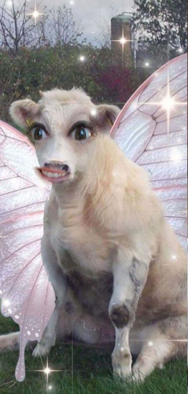 Mariah Cruz-Nanio Menjivar