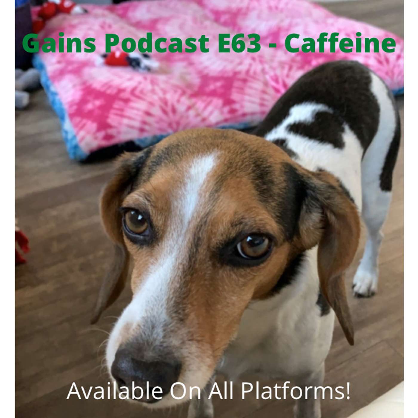 Gainz Podcast