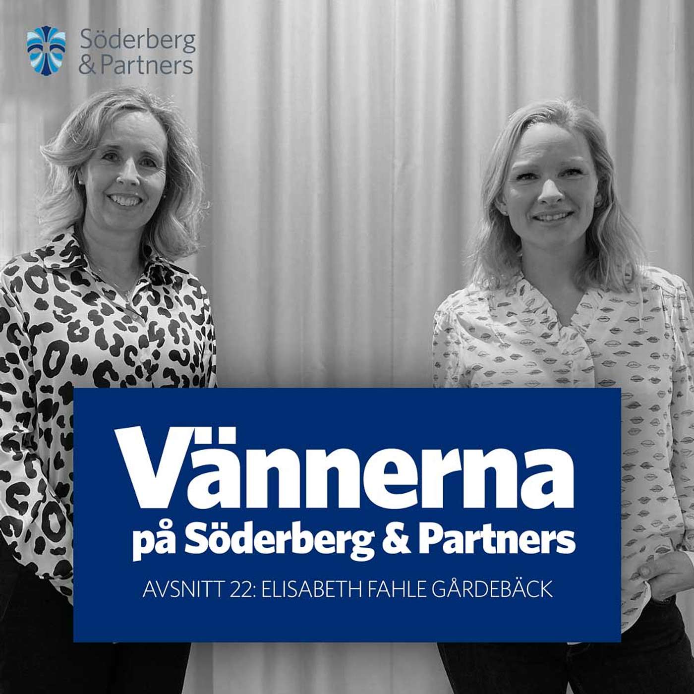 The friends at Söderberg & Partners