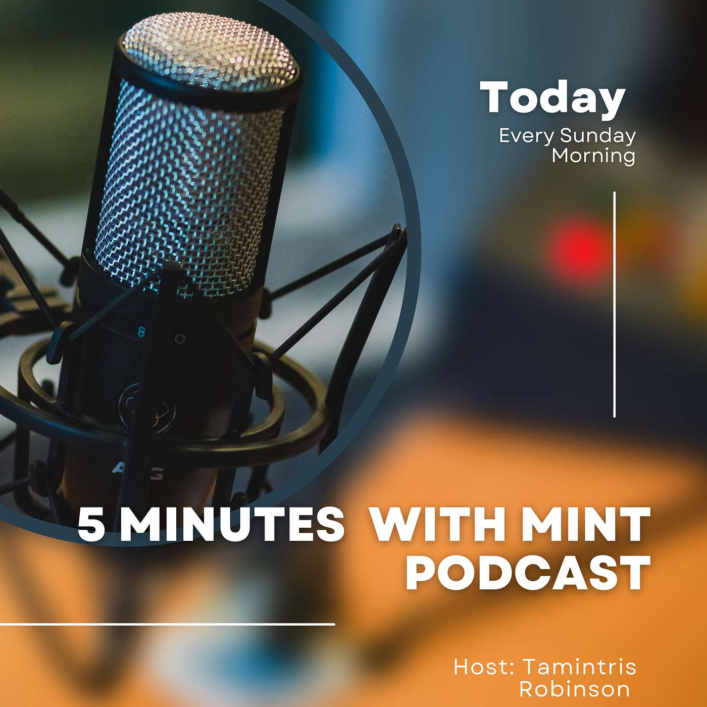 5 Minutes with Mint Podcast