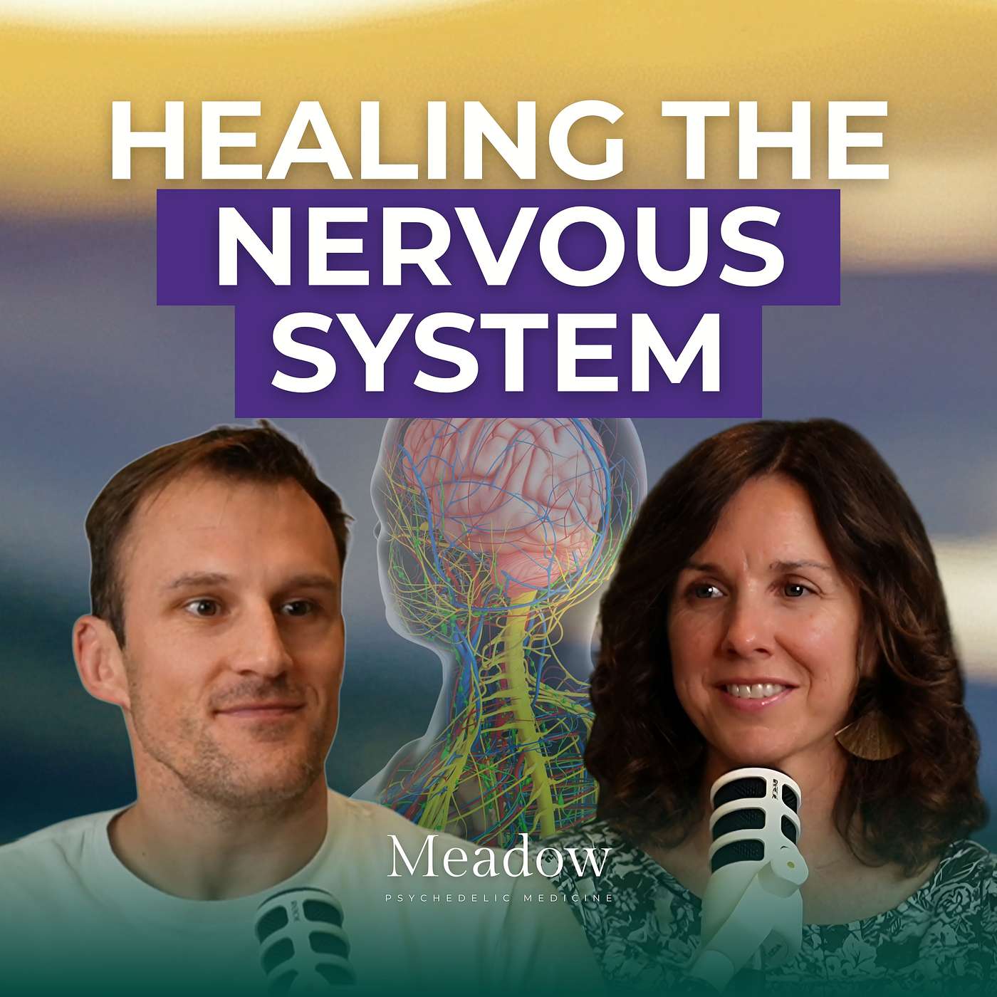 How Trauma Lives in the Nervous System with Anne Harris | Meadow Podcast episode artwork