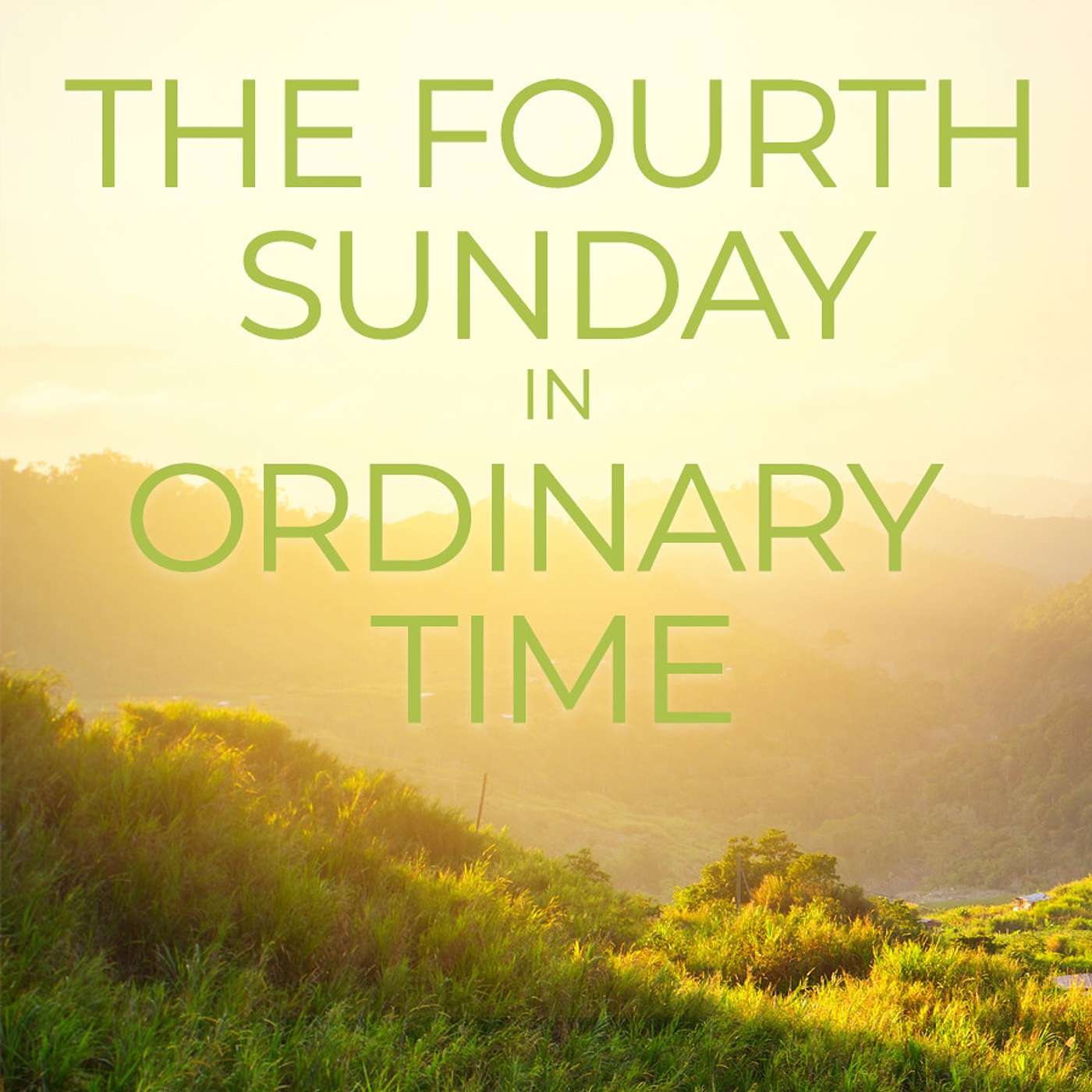 Season 2 Episode 29 - 4th Sunday in Ordinary Time - Year A