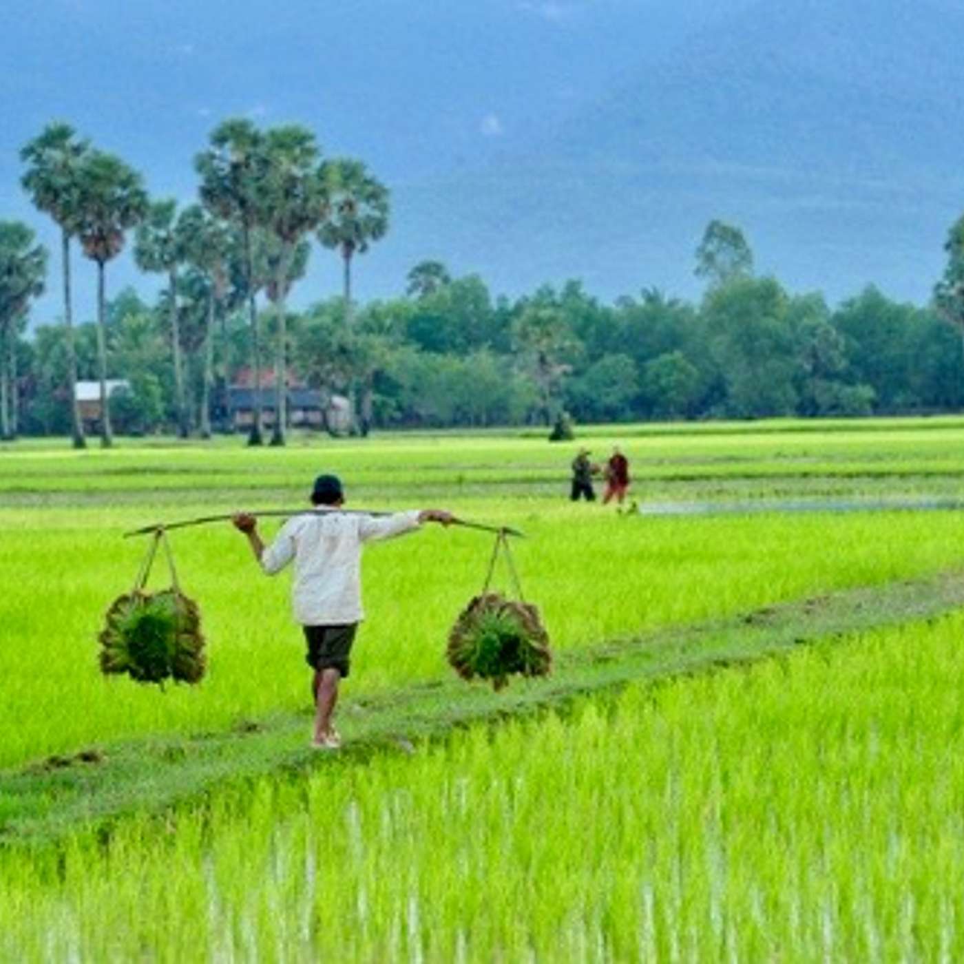 Water, Gender, and Poverty Collide in Cambodian Watershed