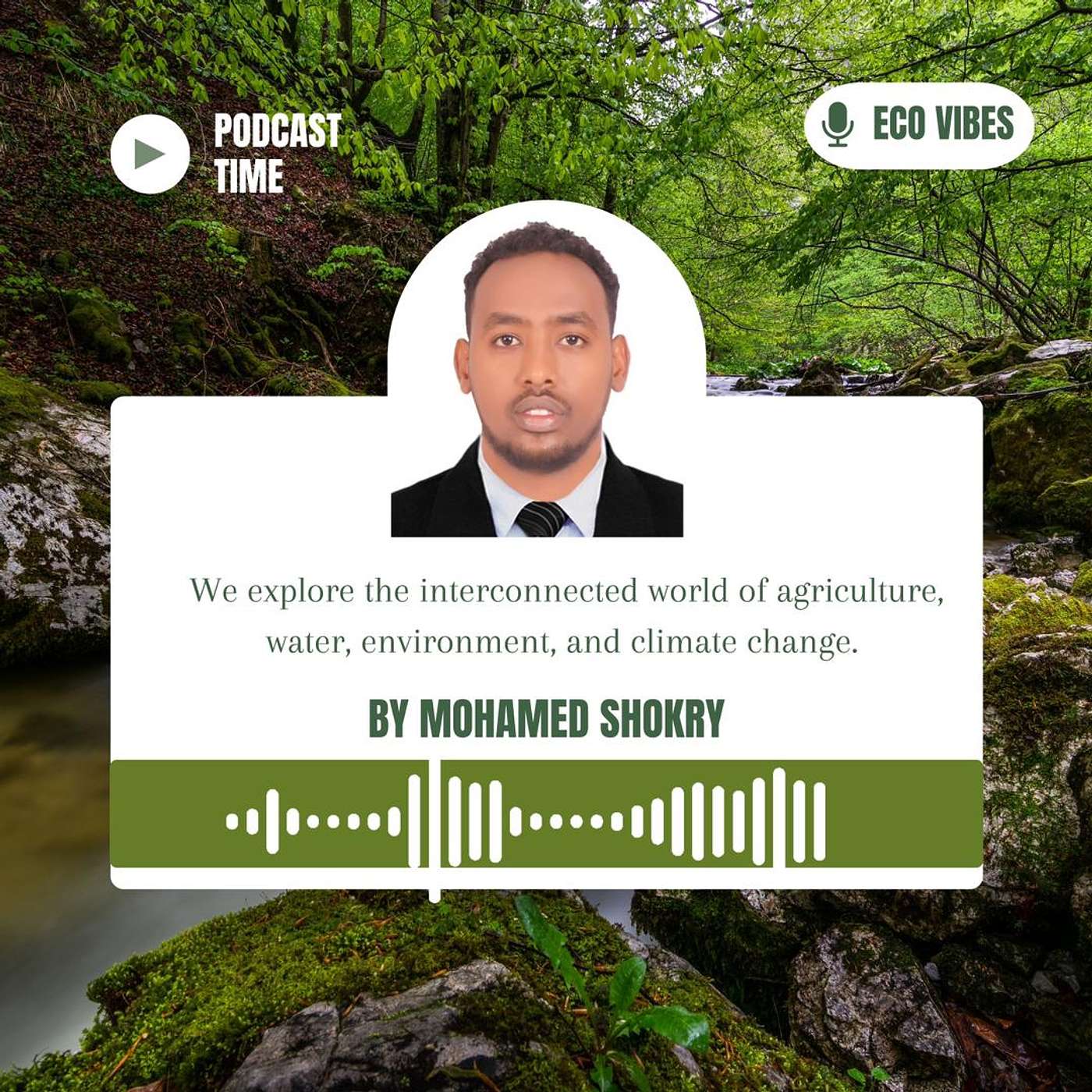 Eco Vibes podcast artwork