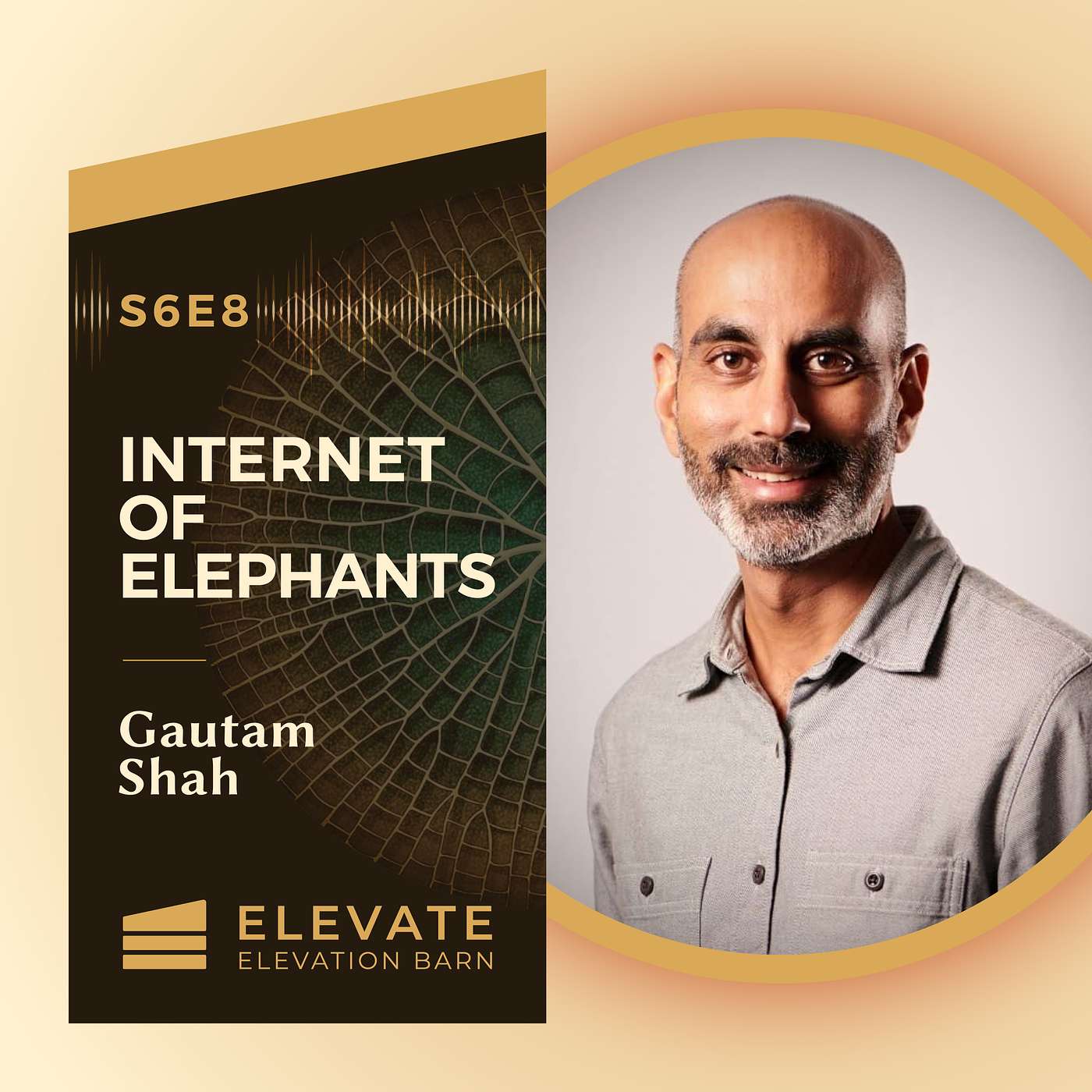 #70. Internet of Elephants | Gautam Shah episode artwork
