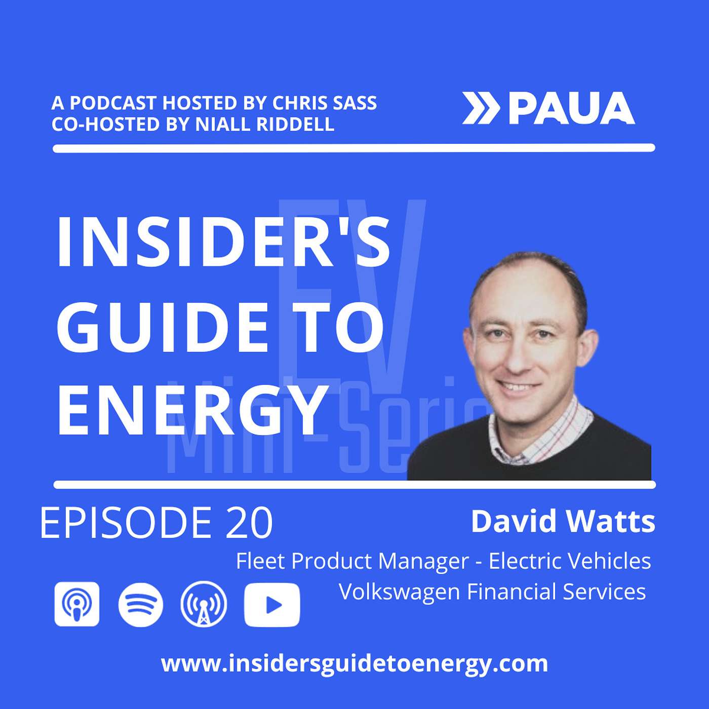 Insider\'s Guide to Energy EV