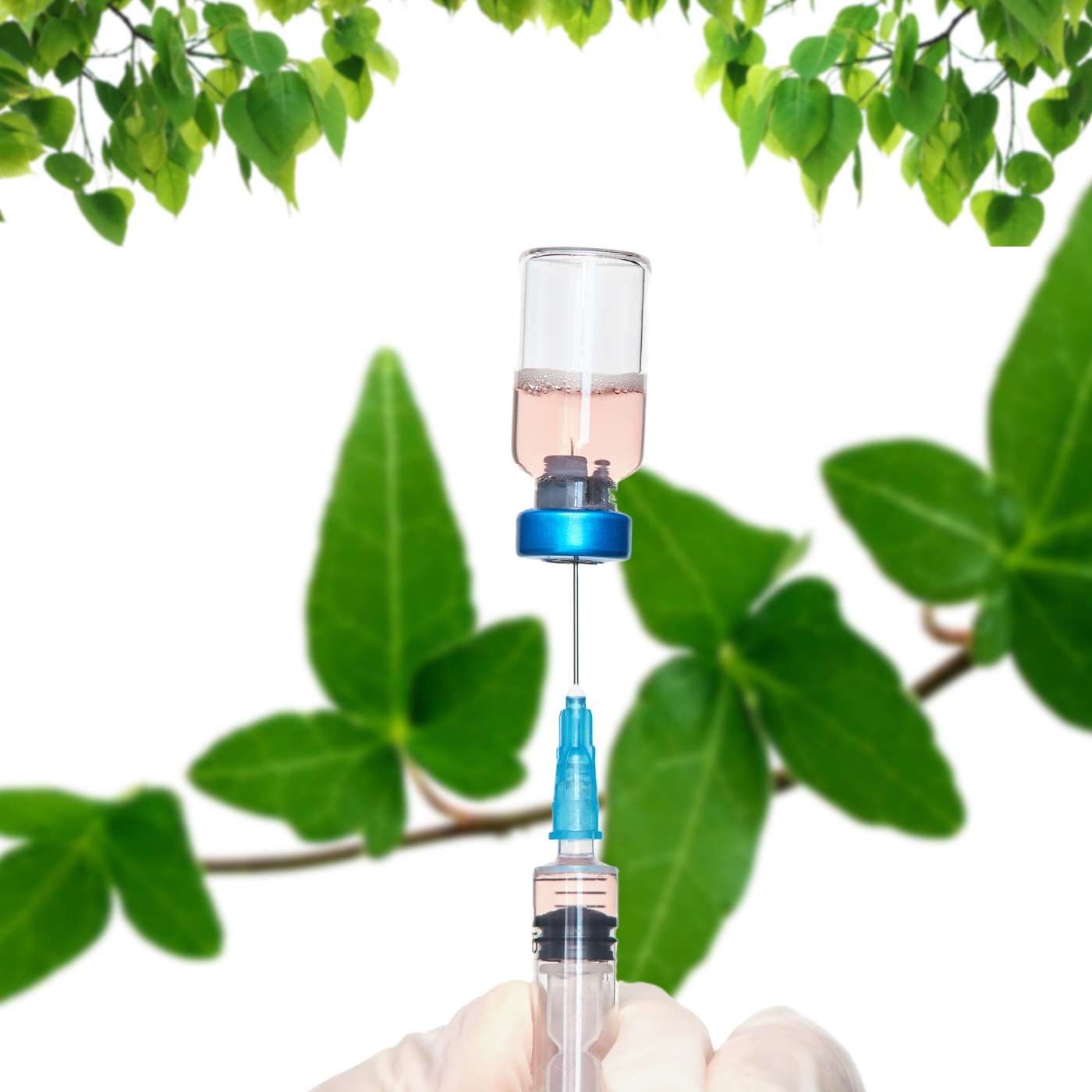 The MIC Drop: How Targeted Injections Support Weight Loss and Mental Clarity The MIC Drop: How Targeted Injections Support Weight Loss and Mental Clarity