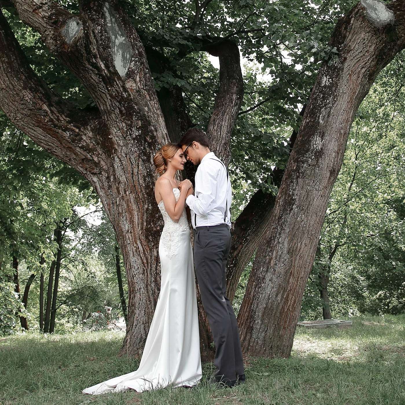 The Tree of Marriage