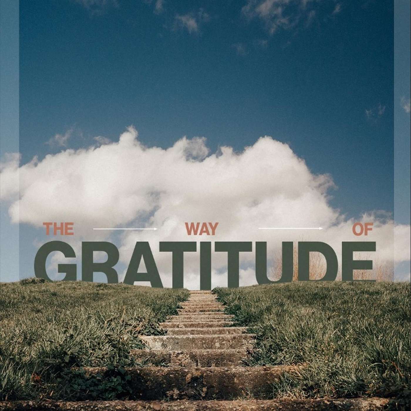 The Way of Gratitude - Week 3