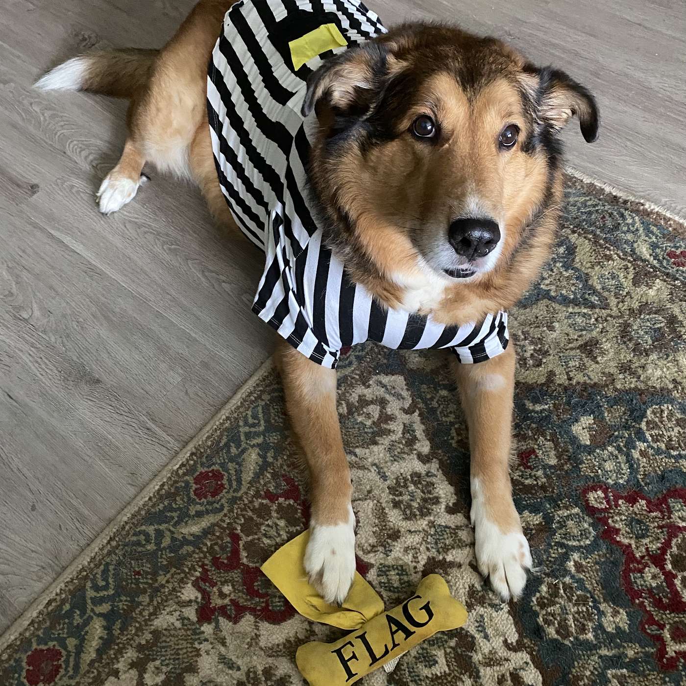 Episode 39: 2025 High School and College Rule Changes Episode 39: 2025 High School and College Rule Changes