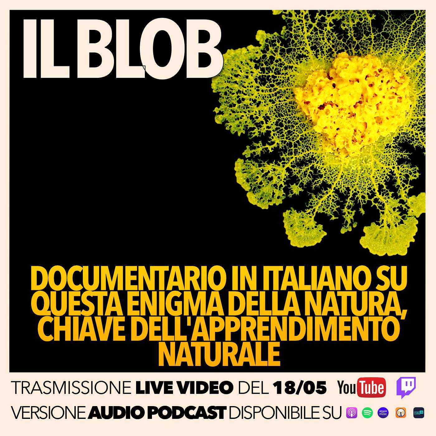 il Blob, enigma della scienza e segreto dell'apprendimento! Documentario completo in italiano (QuickTalk v07)