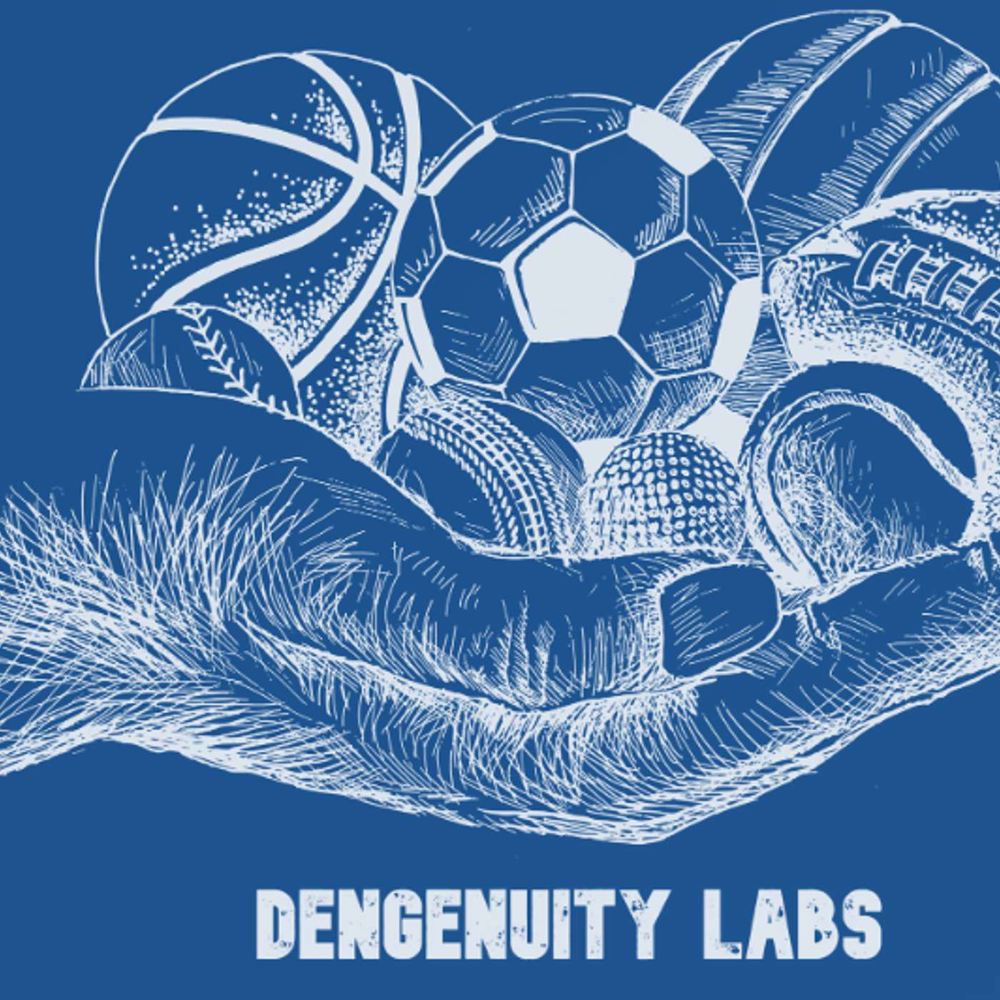 Dengenuity Labs