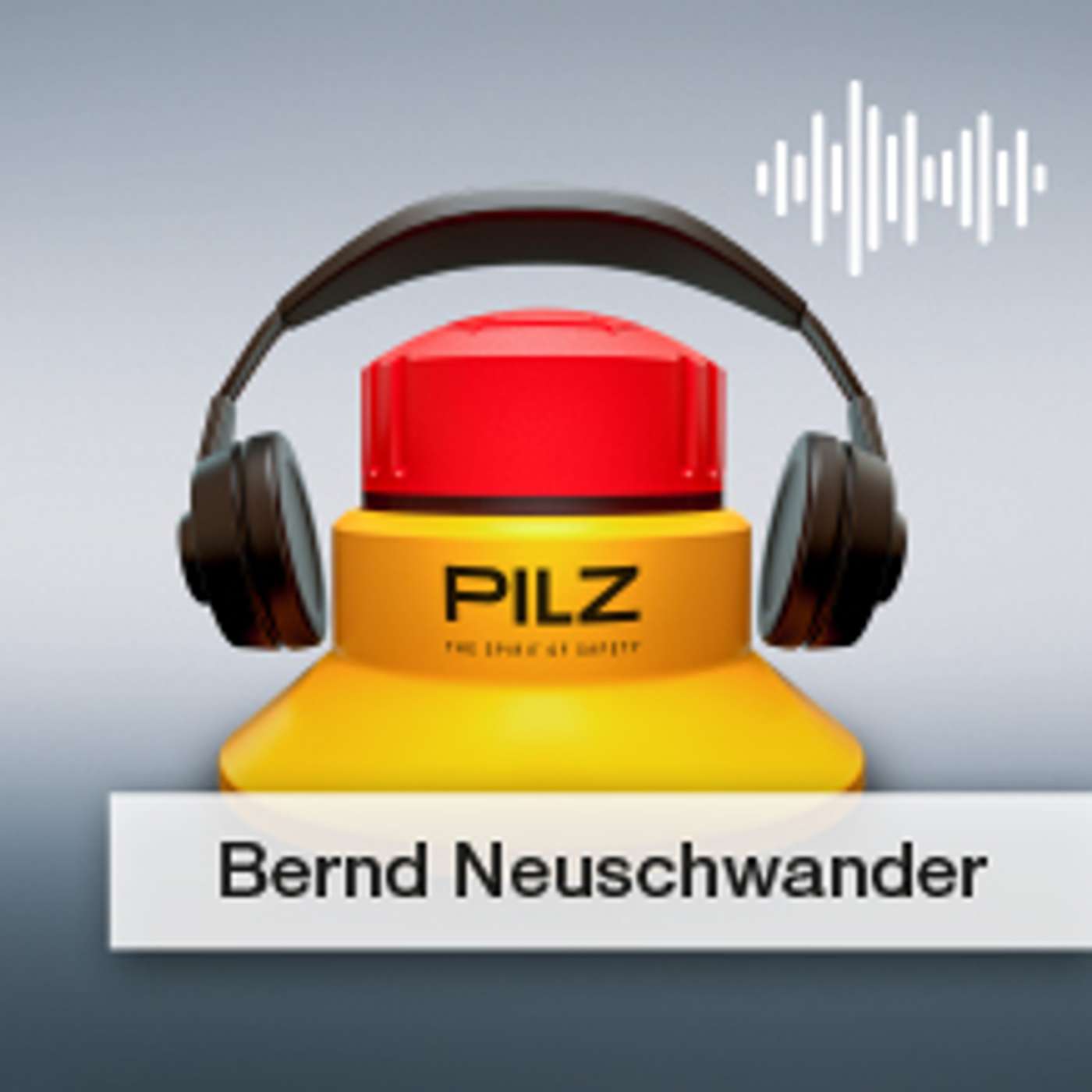 Pilz GmbH & Co. KG