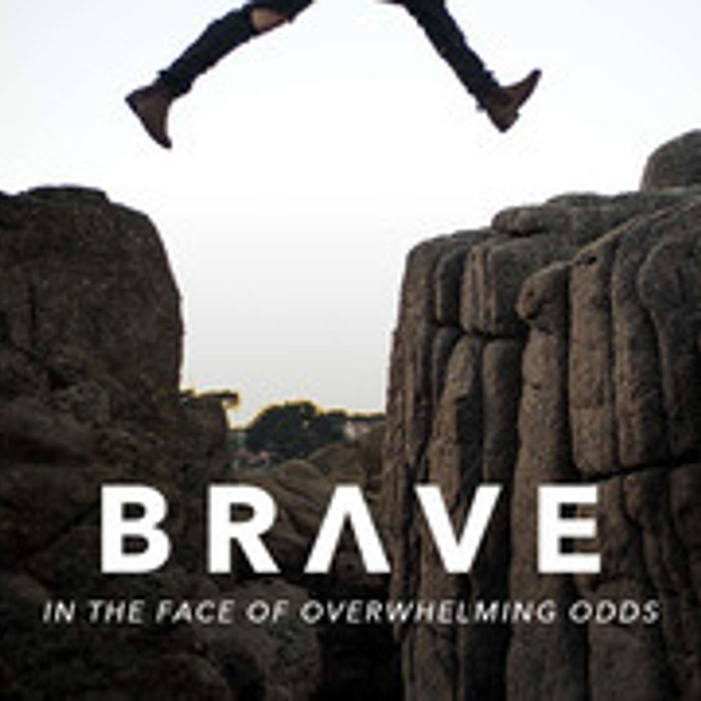 BRAVE - In the Face of Overwhelming Odds episode artwork