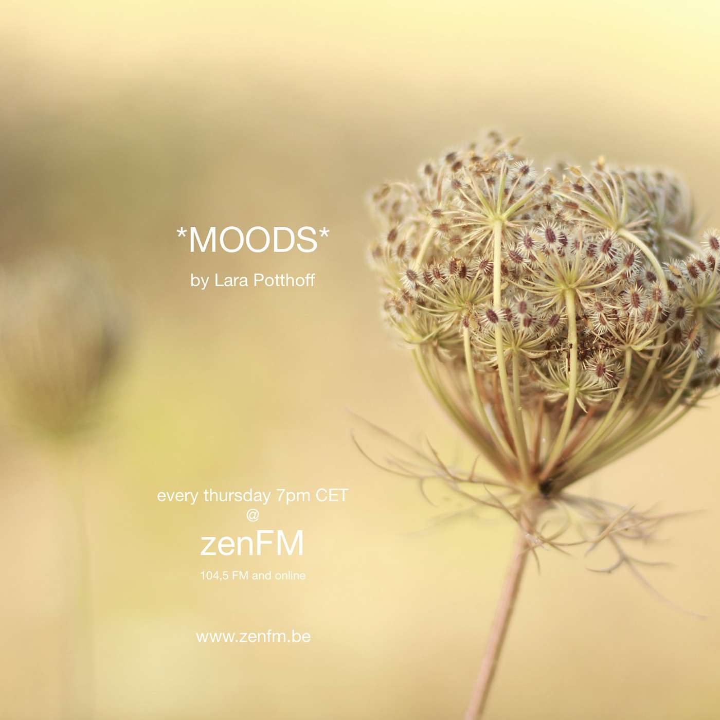 *MOODS* by Lara Potthoff @ zenFM 27.08.20