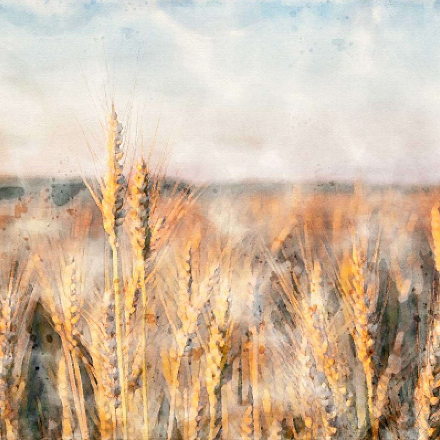 פרק 12: מיהו יהודי?