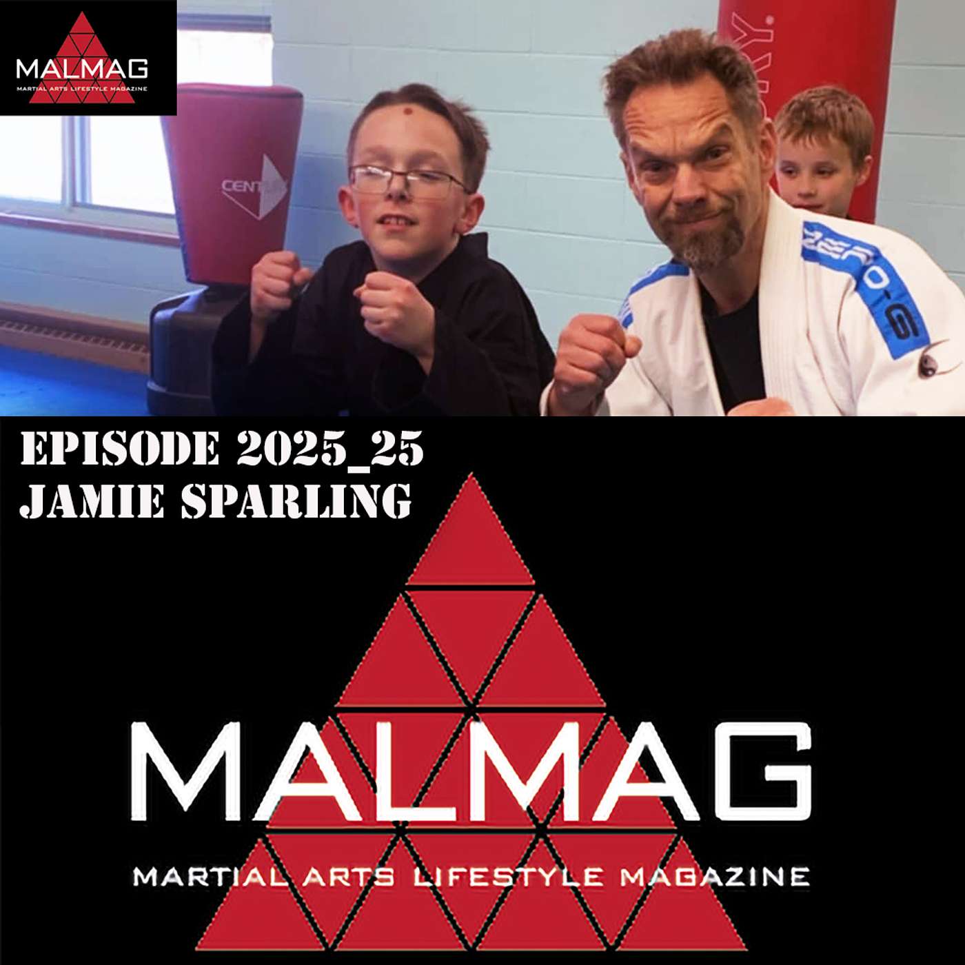 The Martial Arts Lifestyle Podcast