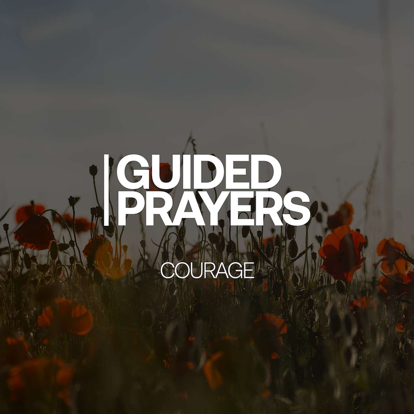 Cover Your Anxiety In Prayer | Guided Prayers episode artwork