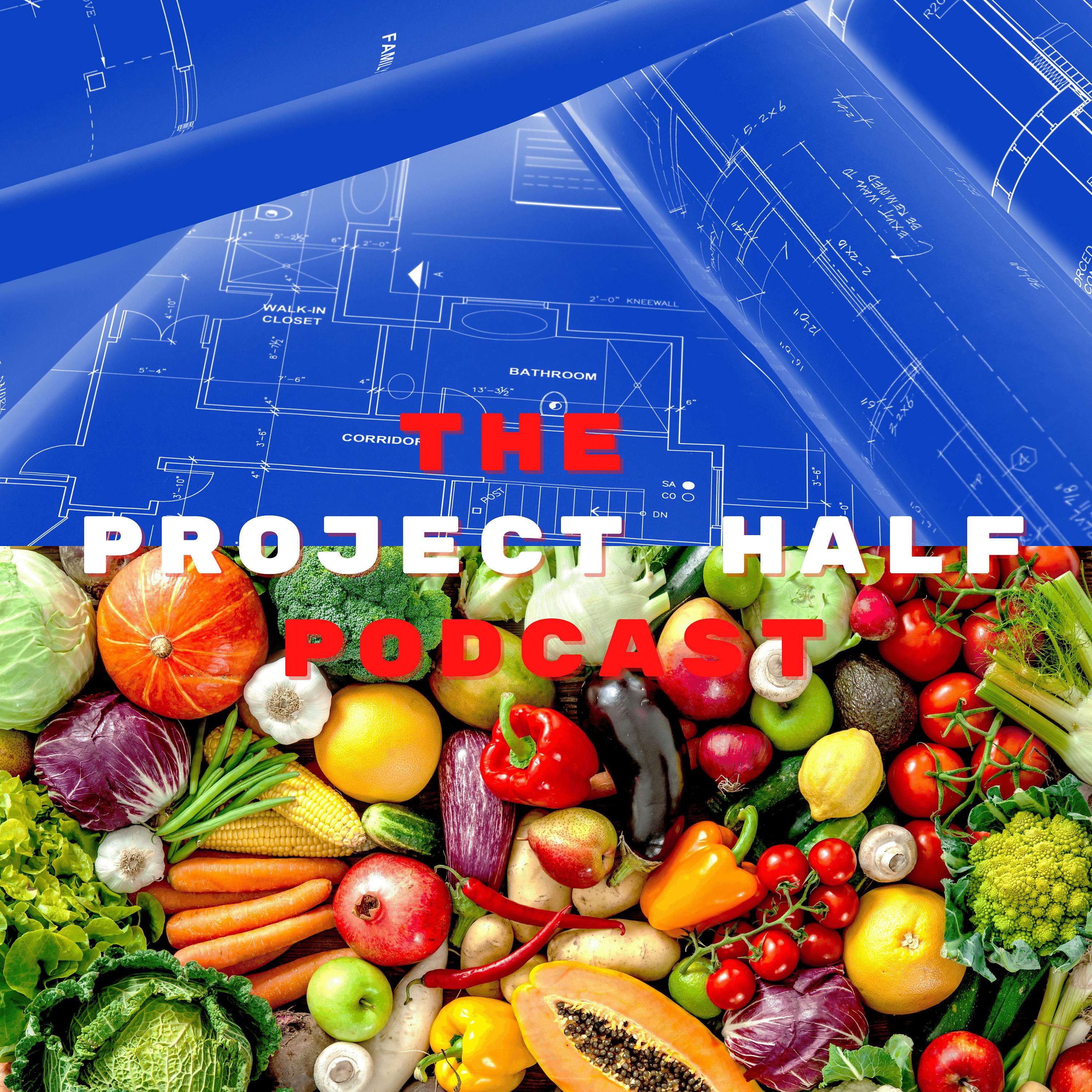 The Project Half Podcast podcast artwork
