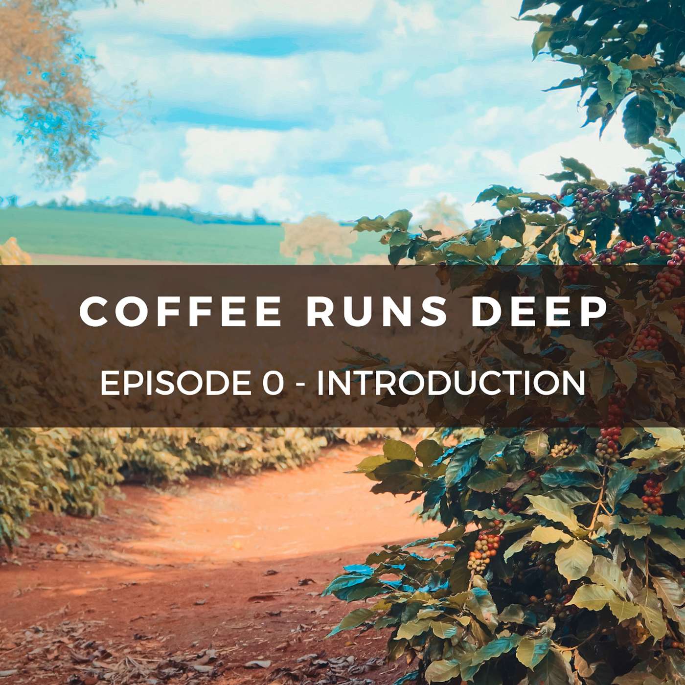 Coffee Runs Deep - Rob Pirie