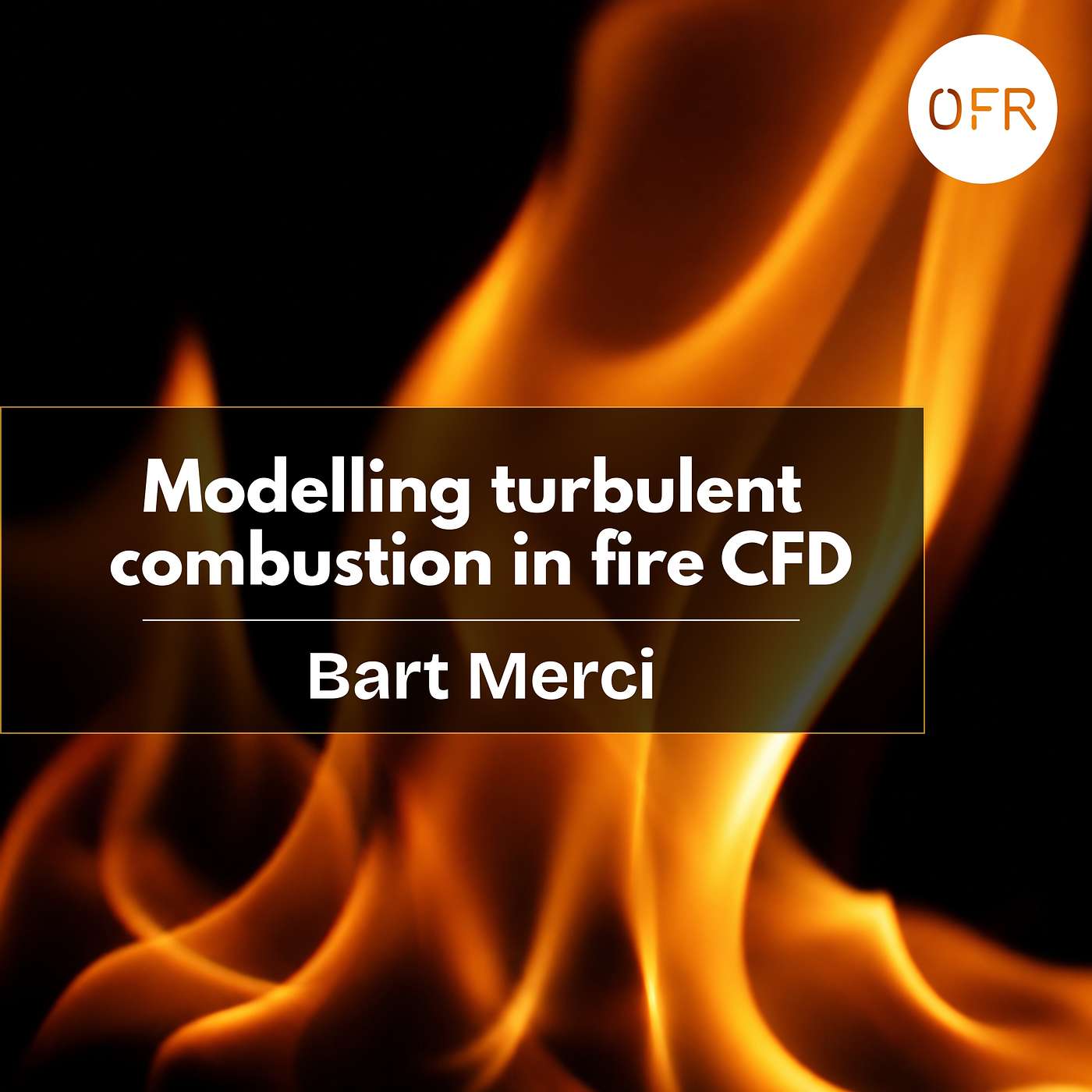 256 - Modelling turbulent combustion in fire CFD with Bart Merci