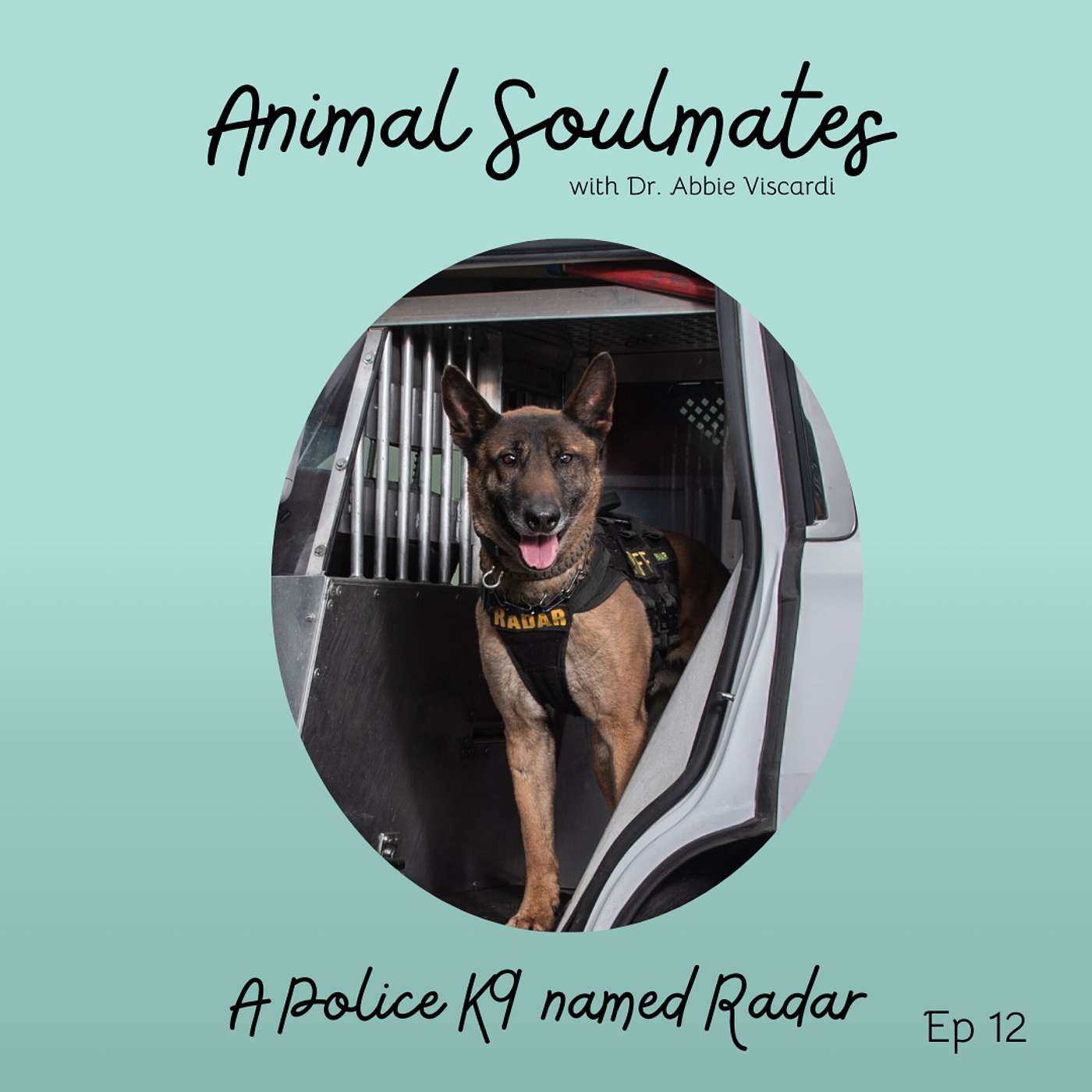 Animal Soulmates
