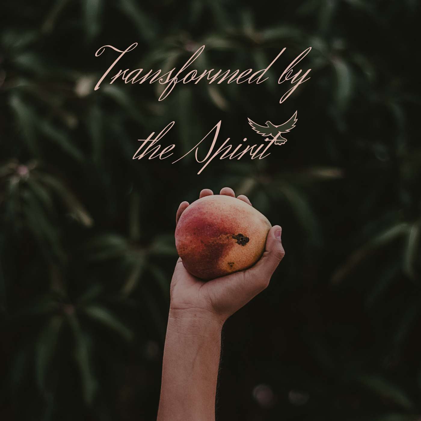 Transformed by the Spirit: Growth with the Great Gardener