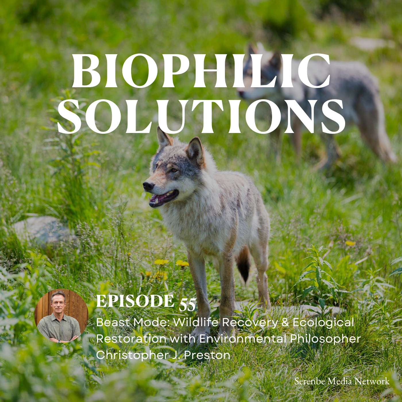 Biophilic Solutions: Nature Has the Answers