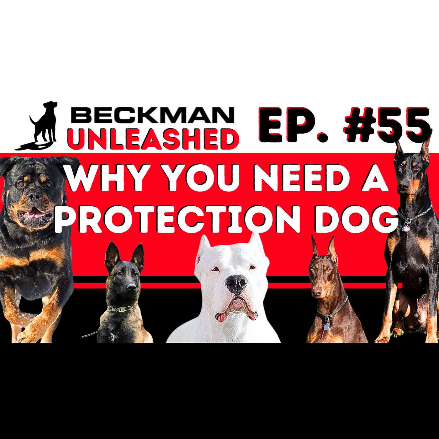 Beckman Unleashed