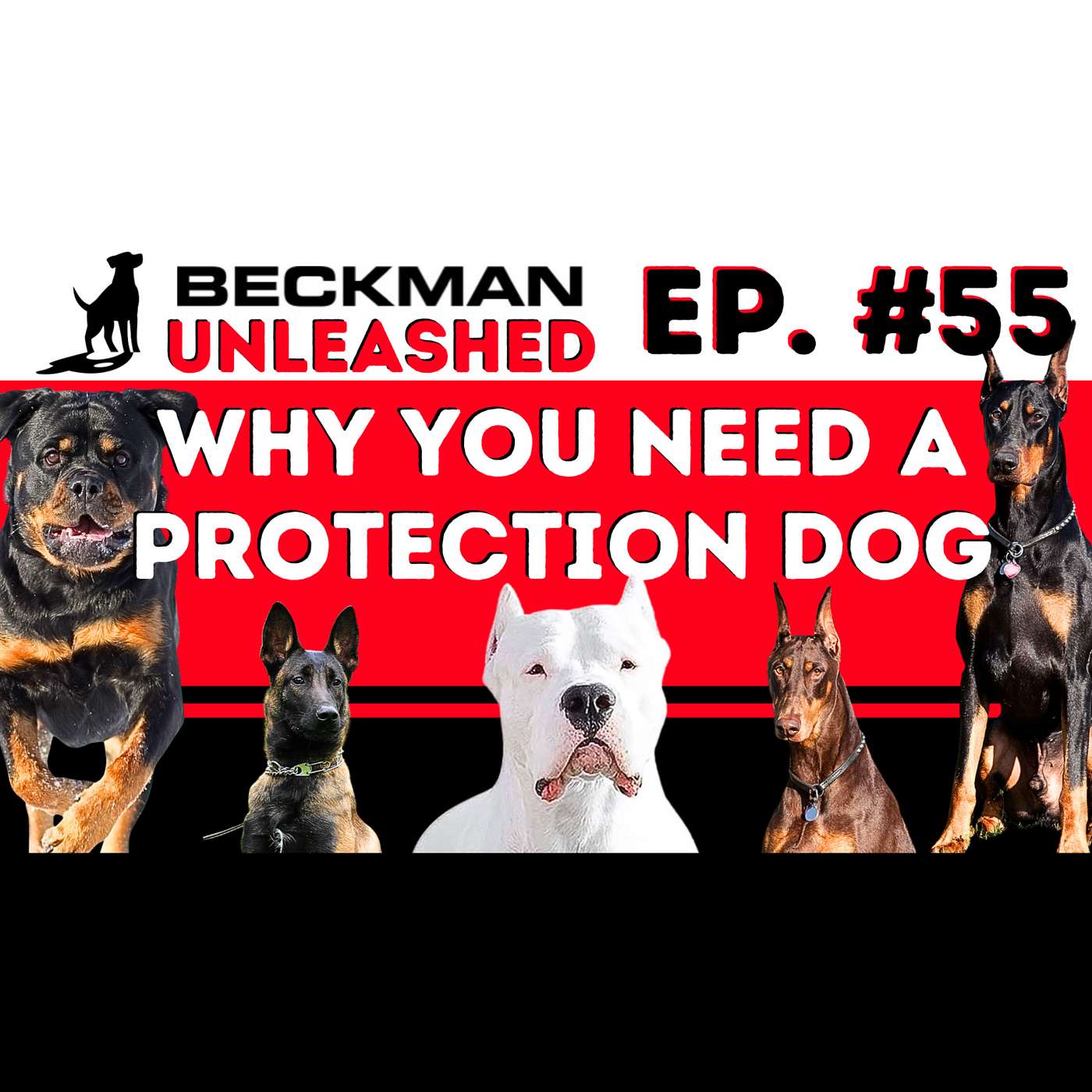 Ep. 55 - The World is Crazy! Do you need a Protection Dog?