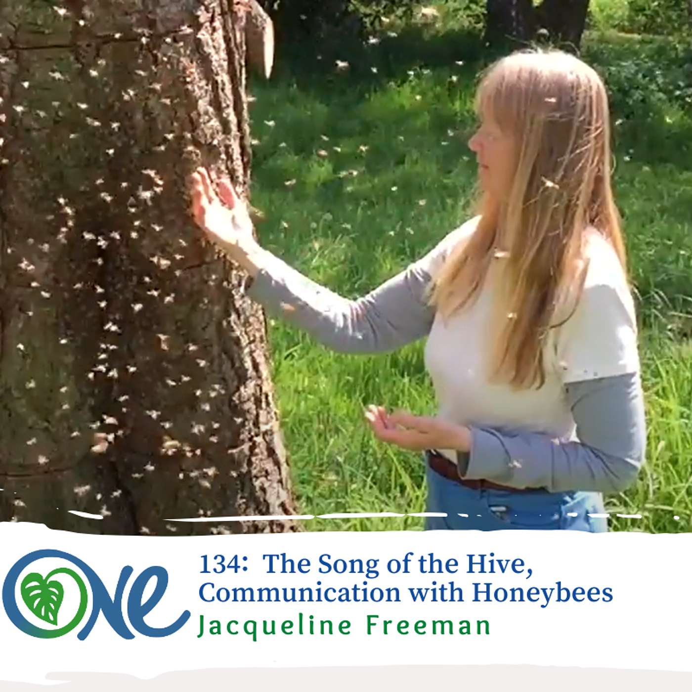Song of the Hive with Jacqueline Freeman