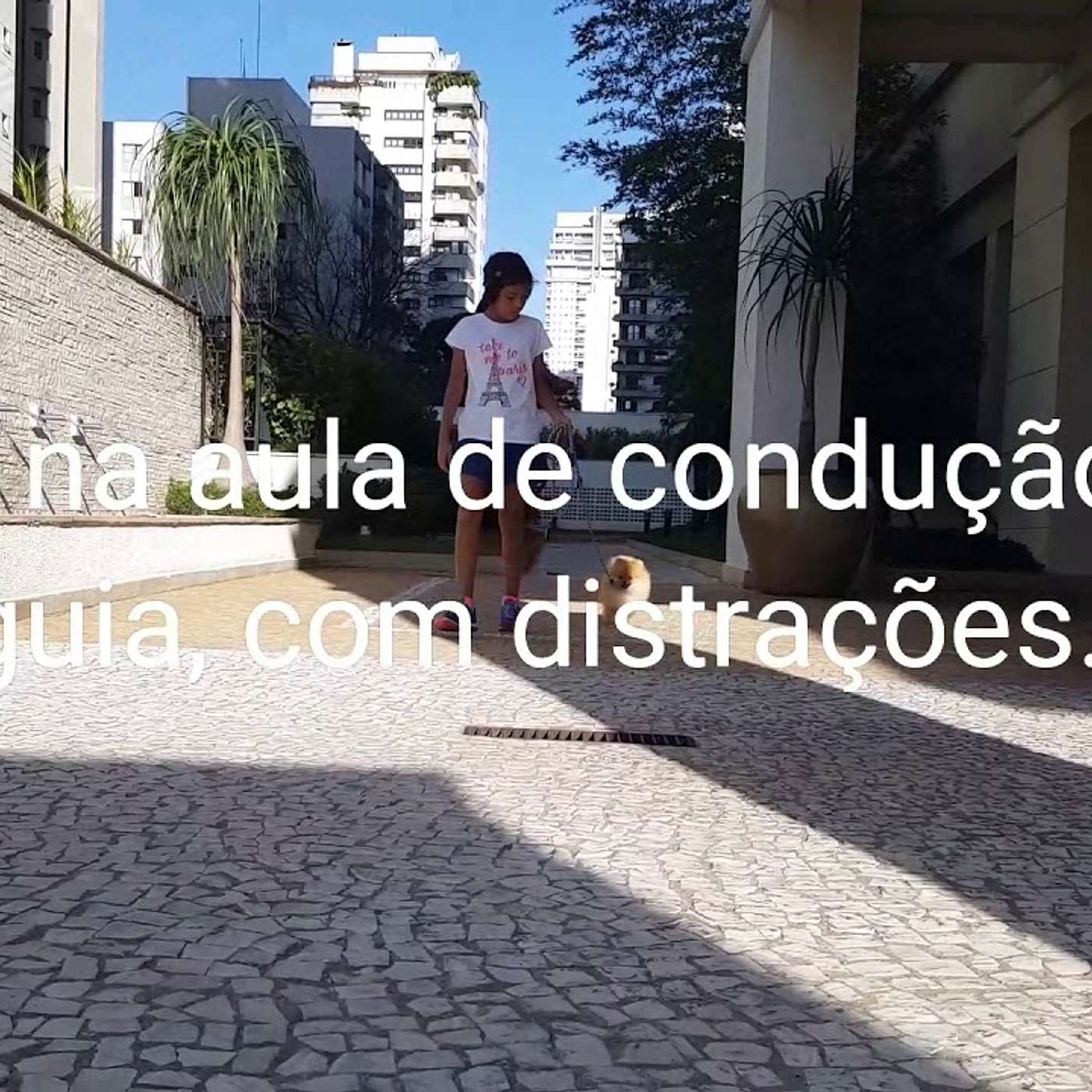 Mila na aula de condução na guia com distrações. 😉 episode artwork