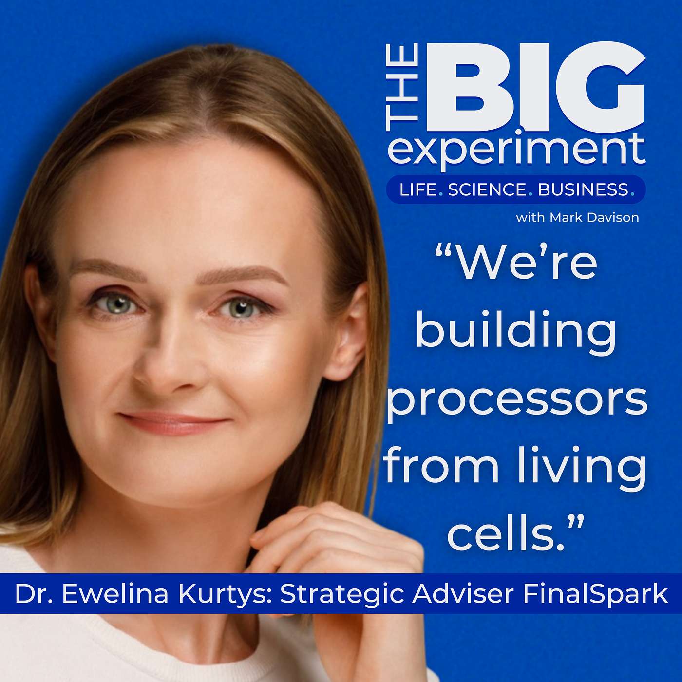 The Big Experiment