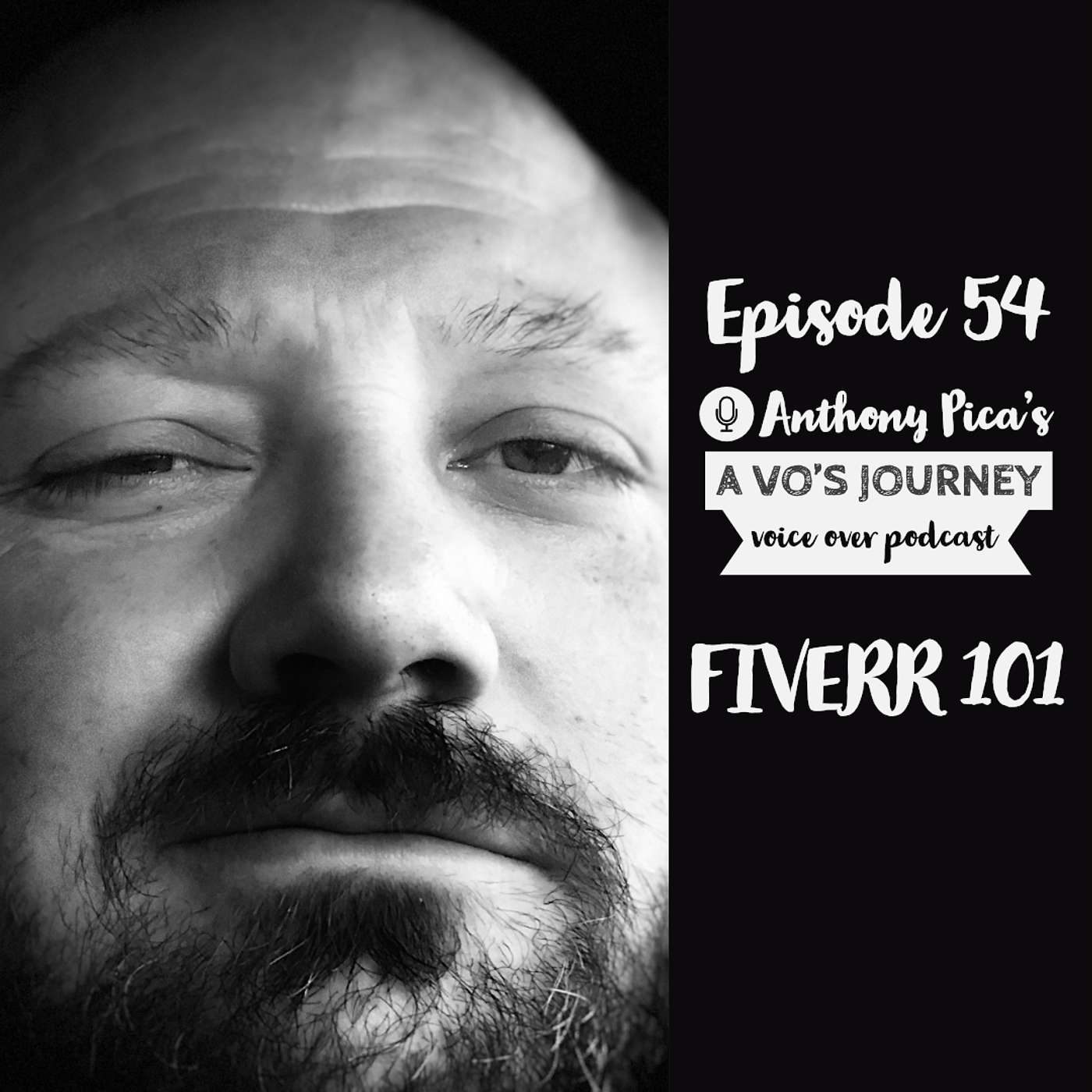 A VO\'s Journey: Voiceover and more voice over