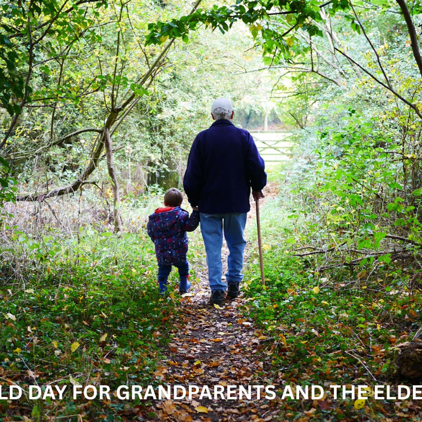 Prayer for the World Day for Grandparents and the Elderly