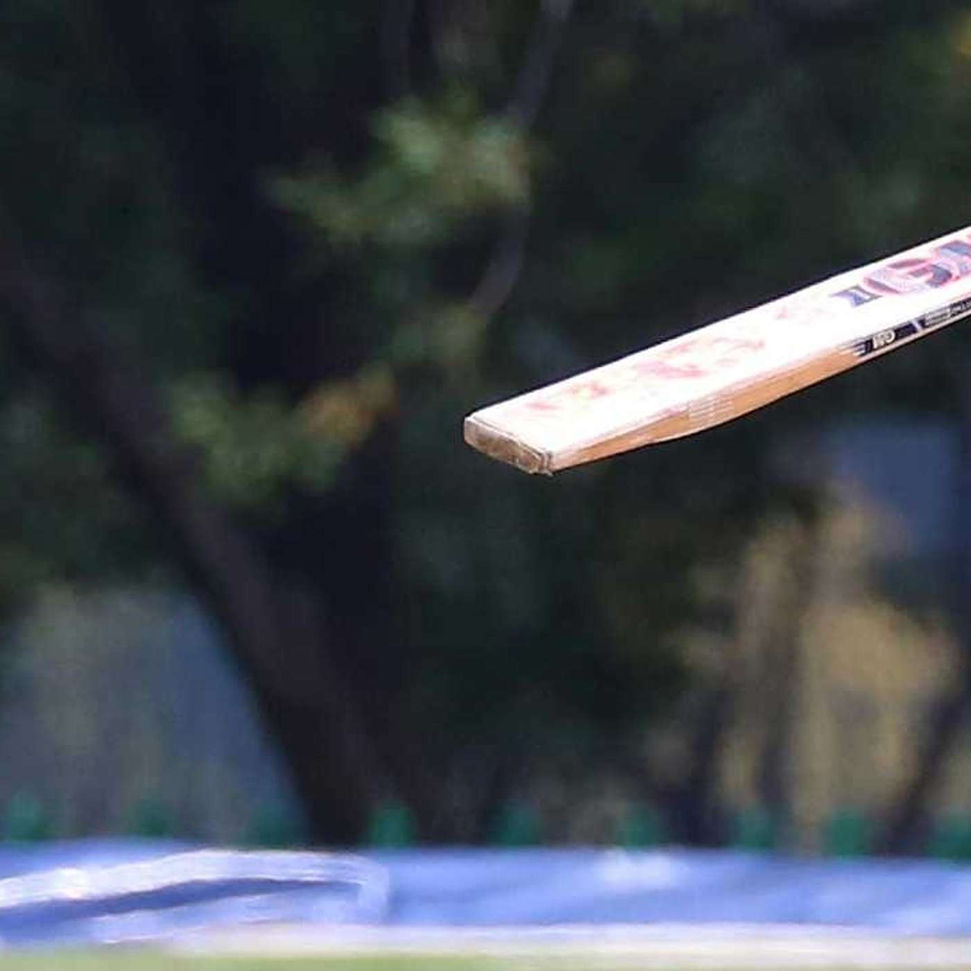 Open Cricket Nets Dubai: Where Passion Meets Practice Under the Sun!