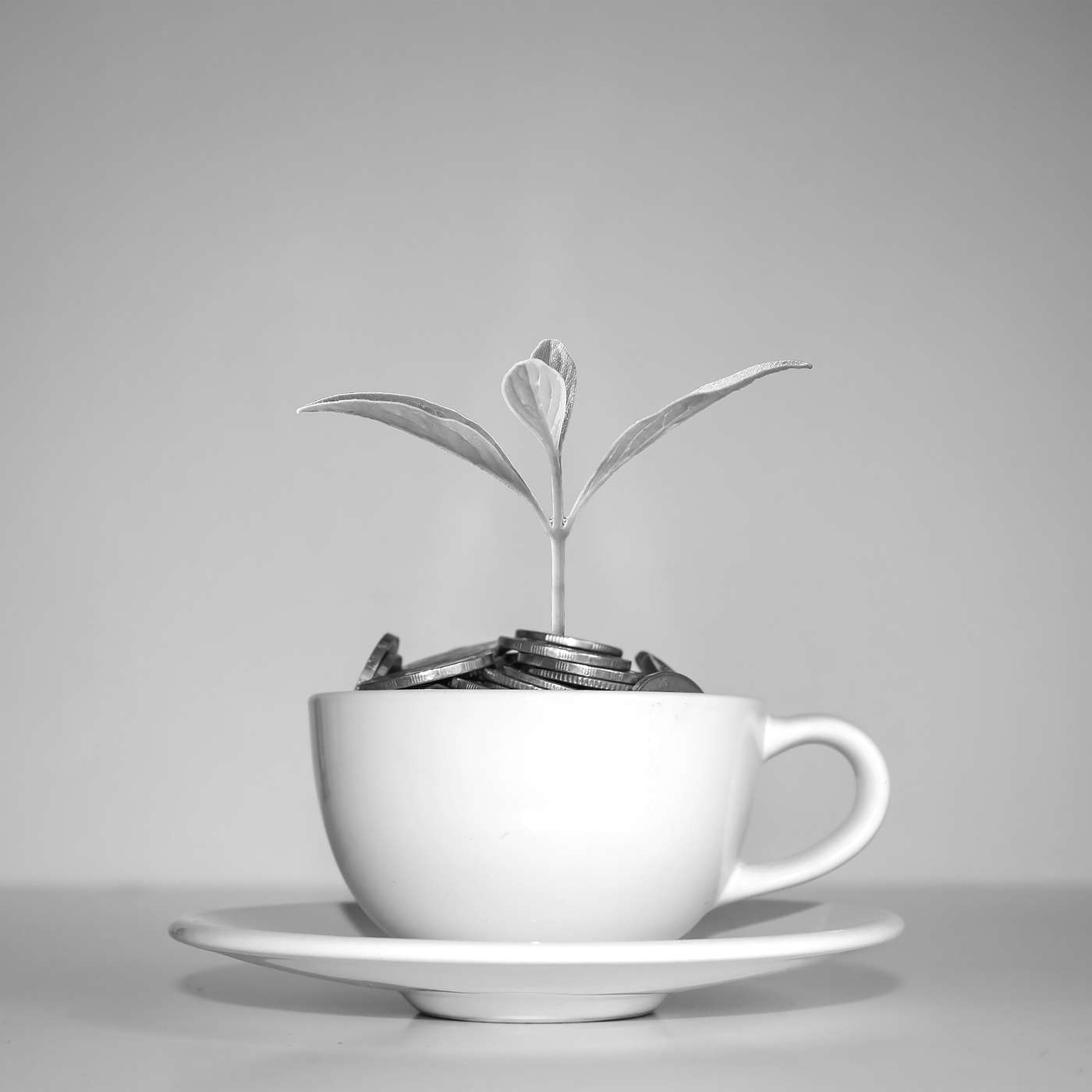 Coffee With....AlgoMe Consulting